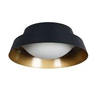 Ceiling light